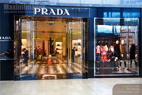 where can you buy prada|prada shop.